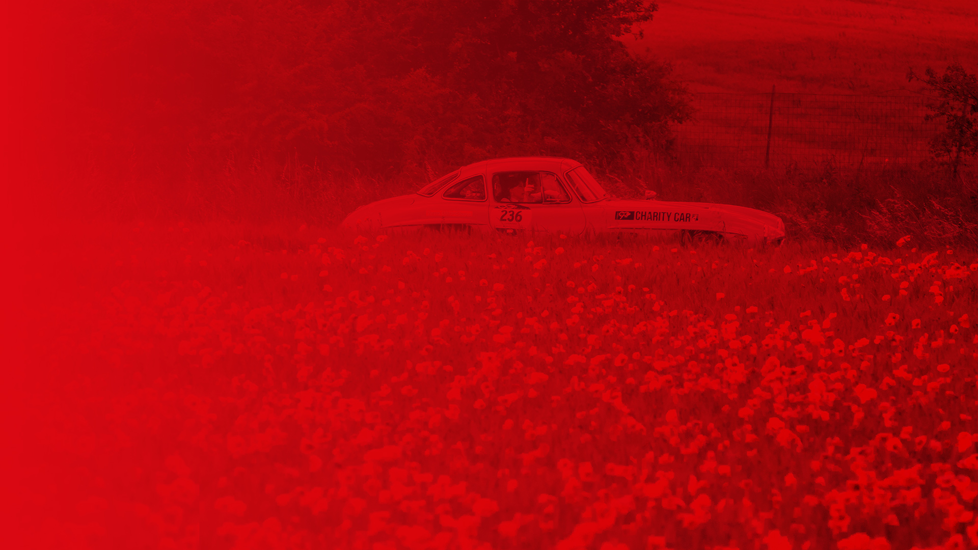 1000migliacharity-background
