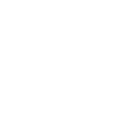 Gruppo WISE