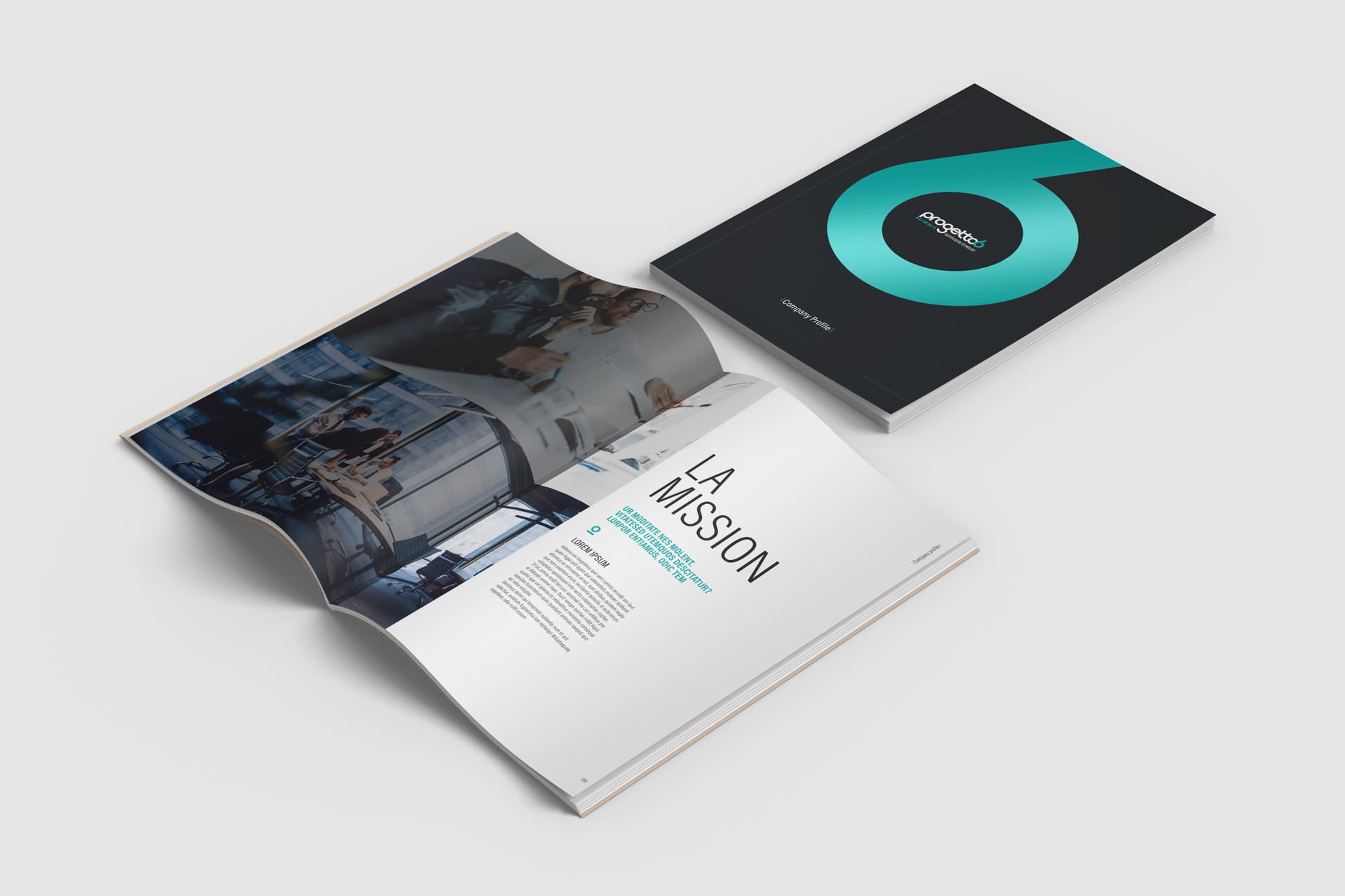 Company Profile — La Mission