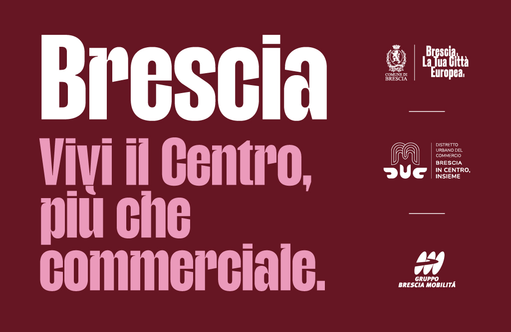 Gruppo WISE -Brescia mobilità