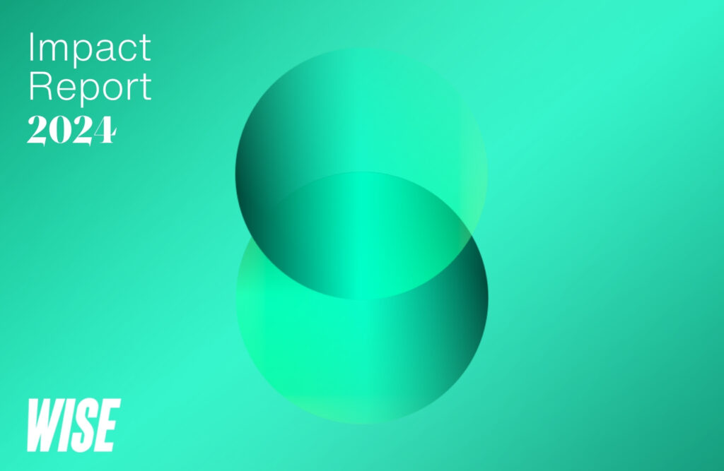 Gruppo WISE - Impact Report 2024