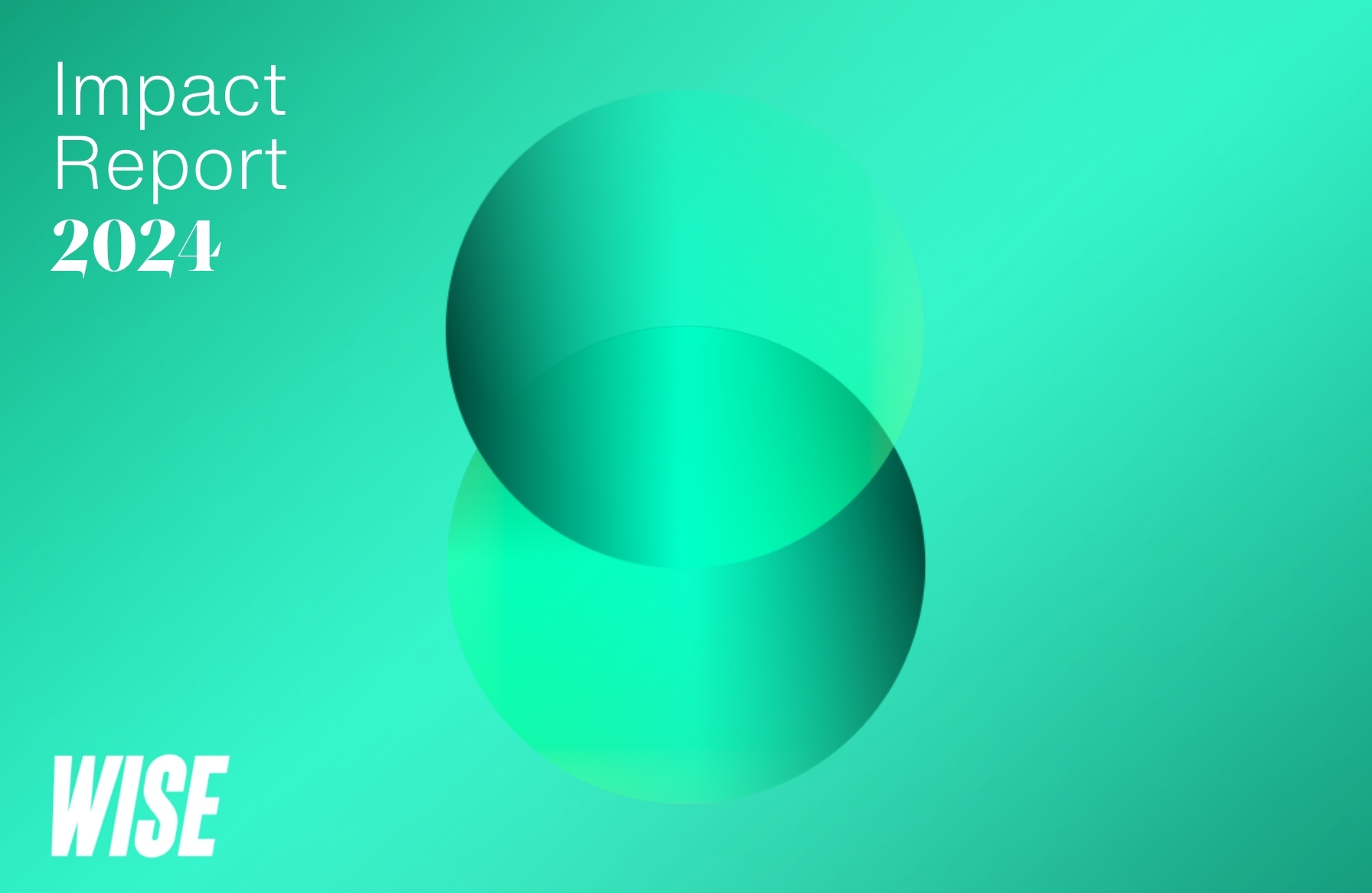 Gruppo WISE - Impact Report 2024