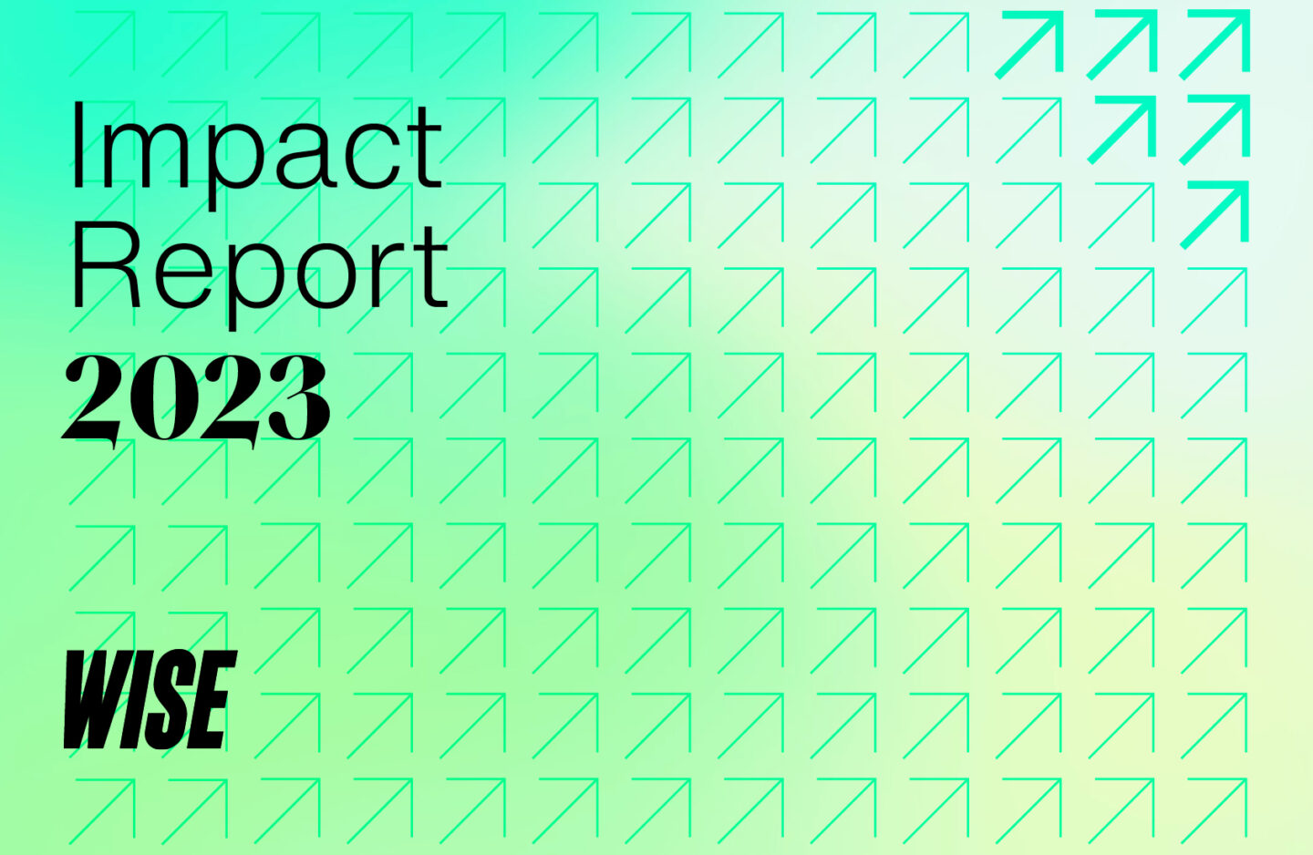 Gruppo WISE: Published Impact Report 2023